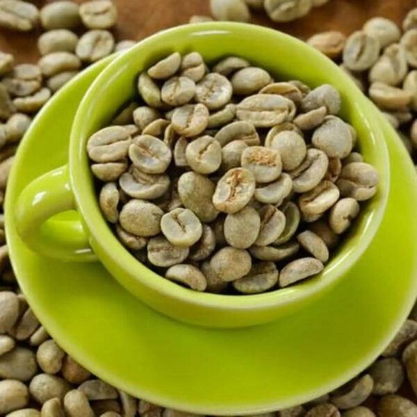 VIETNAM ARABICA GREEN COFFEE BEANS HIGH QUALITY CHEAP PRICE - Image 2