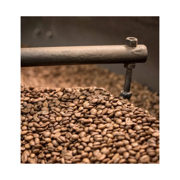 Fresh Raw Arabica Bugisu Supremo Colombian Coffee 1 KG Coffee Beans from Uganda. - Image 2