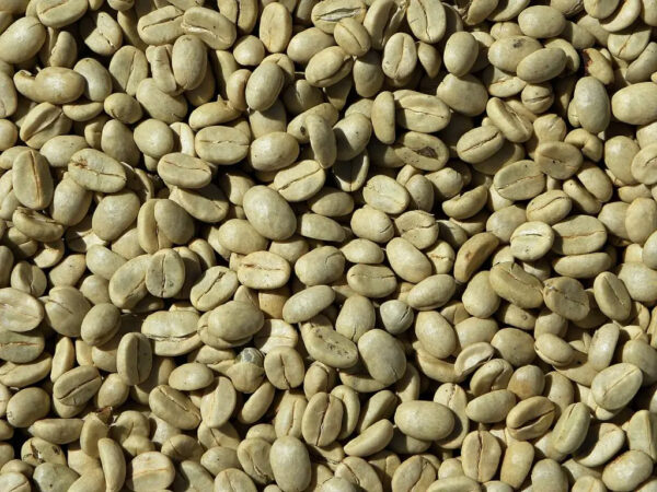 Single Vietnamese origin Arabica and Robusta green bean coffee with cheap price and low MOQ Screen 16 Screen 18 with fully wash - Image 3