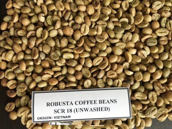 Sell Arabica Coffee Bean - Image 5