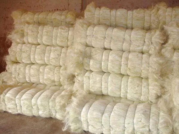 whole sale 100% quality sisal fibre / raw sisal fibre material ready - Image 2