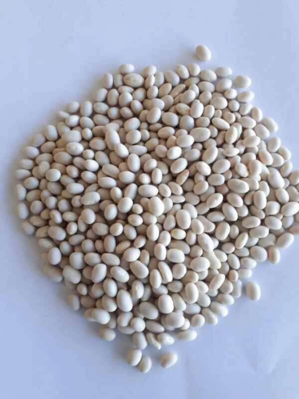 Premium Quality and Hot Seller Ethiopia White Pea Bean for Wholesale - Image 2