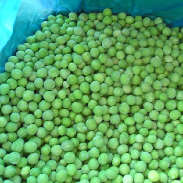 Low Price China Product IQF Vegetables Frozen Green Peas - Image 2