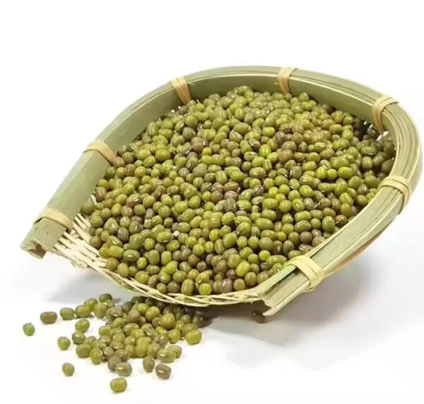 China Factory Price Sprouting Grade Green Mung Beans Export for Vietnam Market - Image 2