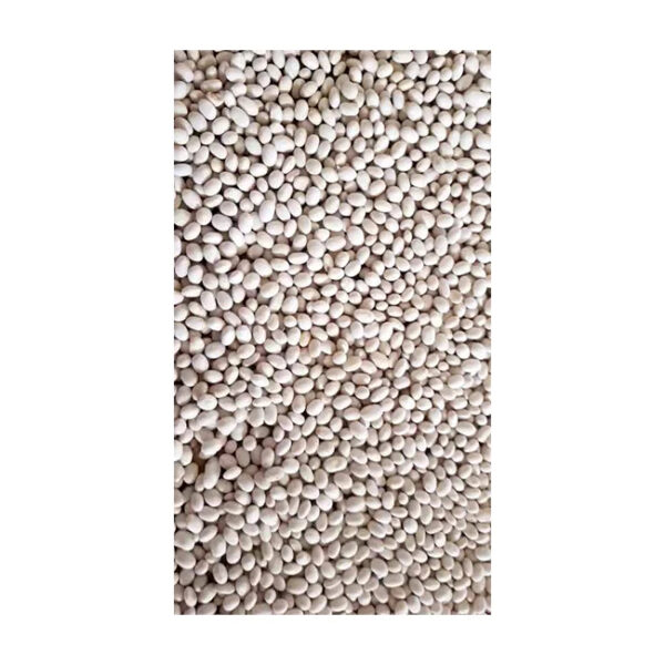 Wholesale Healthy Fresh High Quality SC2 Specification Ethiopian Navy Beans White Pea Beans From Ethiopia - Image 2