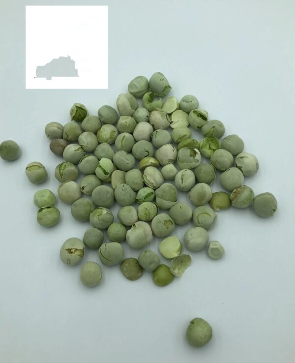 Premium Quality FD Frozen Dried Green Peas - Image 2