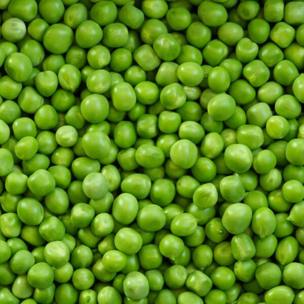 High Quality Made in Italy Your Brand Garden Peas in Easy-open Cans 12x314ml Steamed Processing for Export - Image 2