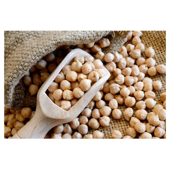 White Chick Pea Beans Natural Organic Desi Chickpeas Good Quality Chick Pea Desi Beans - Image 2