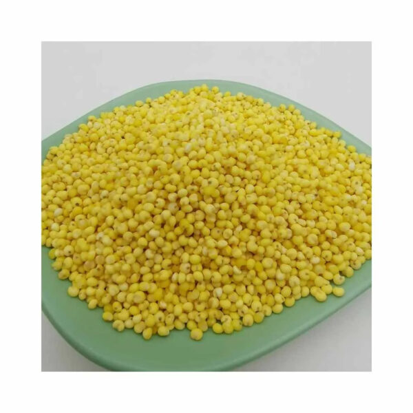 100% Natural Premium Grade Organic Yellow Millet Barley and Peas Cultivated in Thailand for Human Food - Image 2