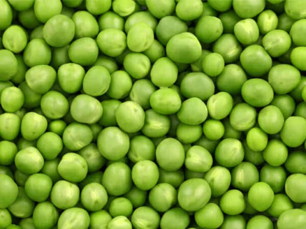 Freshly Harvested Green Peas Good Source of Plant-Based Protein Newly Cultivated Frozen Vegetables - Image 2