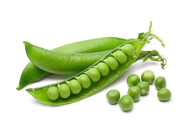 Green Raw Peas/ Whole Green Peas / Best Quality Dried Green Peas - Image 2