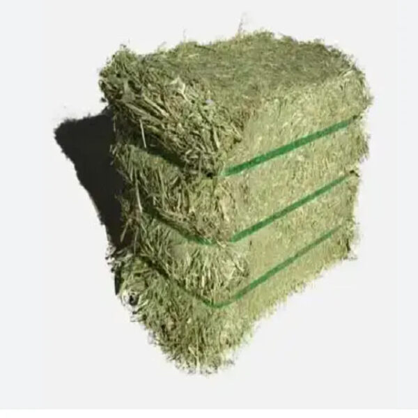 Bulk ALFAFA HAY READY for SUPPLY/ Alfalfa hay with High Protein for Animal Feeding in Bulk - Image 2