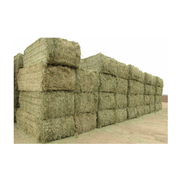 Buy Organic Alfalfa Grass Hay/ Alfalfa Hay Pellets for Animal Feed for Sale Bulk - Image 2