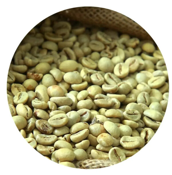 Green Arabica Coffee Beans100% Specialty Green Robusta Coffee beans High Quality Coffee with Affordable Price - Image 2