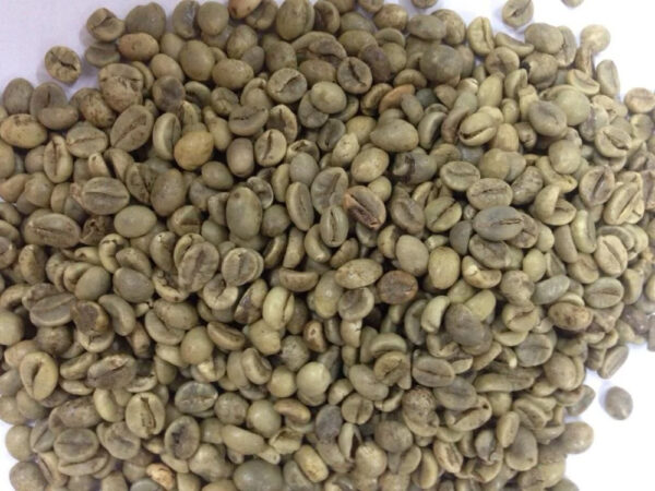 VIETNAM ROBUSTA COFFEE BEANS UNROASTED S16 WET POLISHED NEW CROP WHOLESALE LOW PRICE TOP DIRECT FARMS FACTORY - Image 2