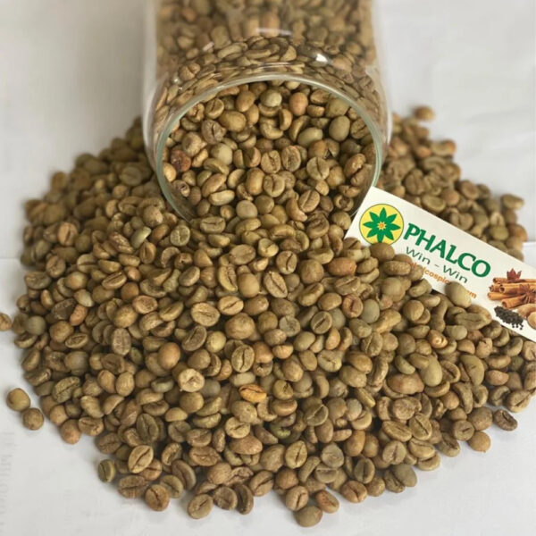 Best Price New crop 2025 Vietnam green coffee beans Robusta coffee bean fast shipping cheap - Image 2