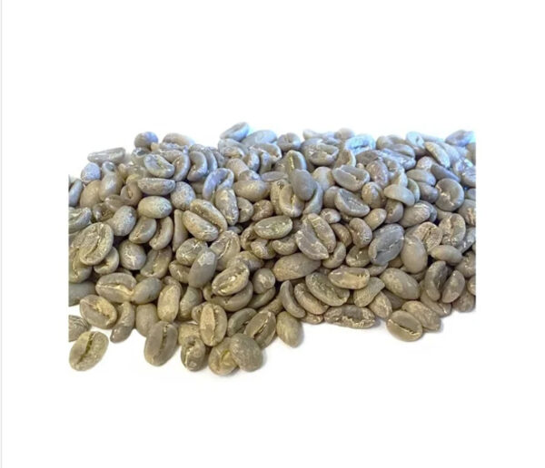 Price Robusta Coffee Green Beans Coffee Full washed SCR18 Grade Vietnam Arabica Coffee Bean - Image 2