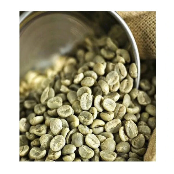 Natural Robusta coffee and Arabica Coffee Beans Wholesale - Image 2