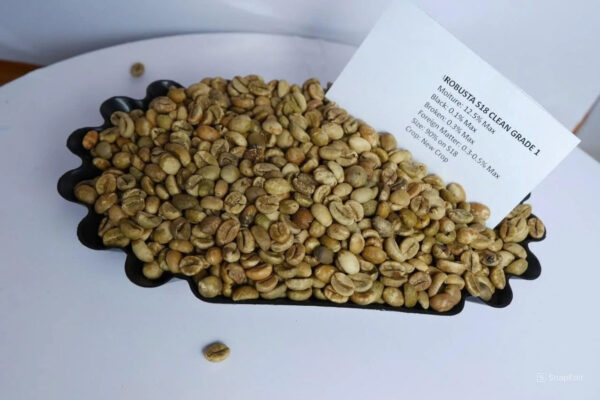 Top Selling Whole Green Coffee Beans Robusta & Arabica with Premium Quality at Competitive Prices from Vietnam - Image 2