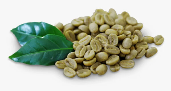 Green Arabica Coffee Beans / Brazilian Coffee Beans For Sale / Ethiopian Arabica Coffee Beans - Image 2