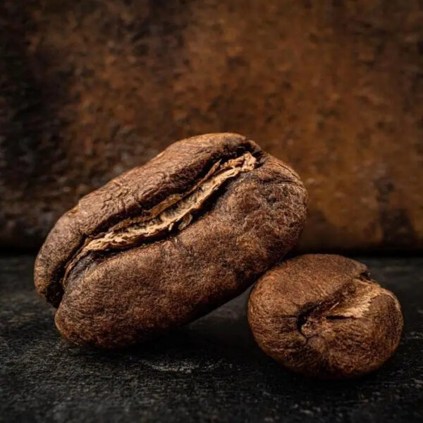 Premium Robusta Brown Coffee Beans 60 KG Jute Bags Brazil Origin / Buy Brazilian Robusta Premium Coffee Beans - Image 2