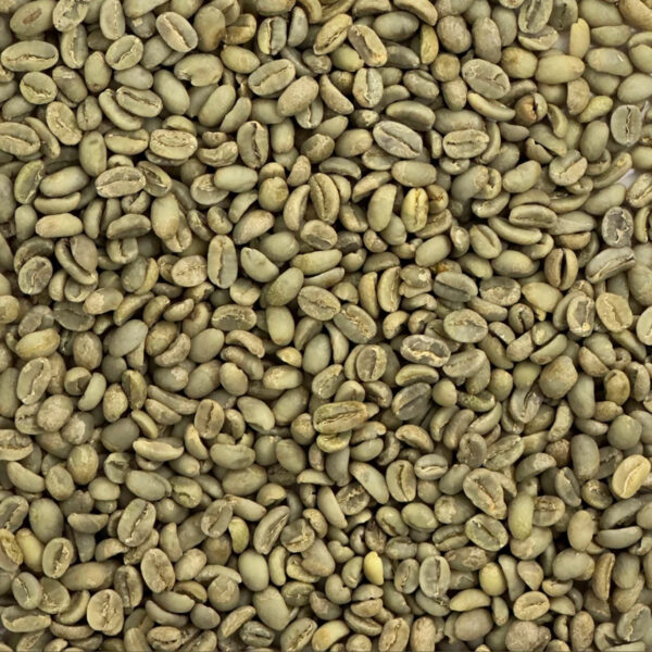 100% Premium Organic Arabica Robusta Green Coffee Bean Washed raw and Roasted Vietnam Sweet Flavor Brazilian Manufacturer - Image 2