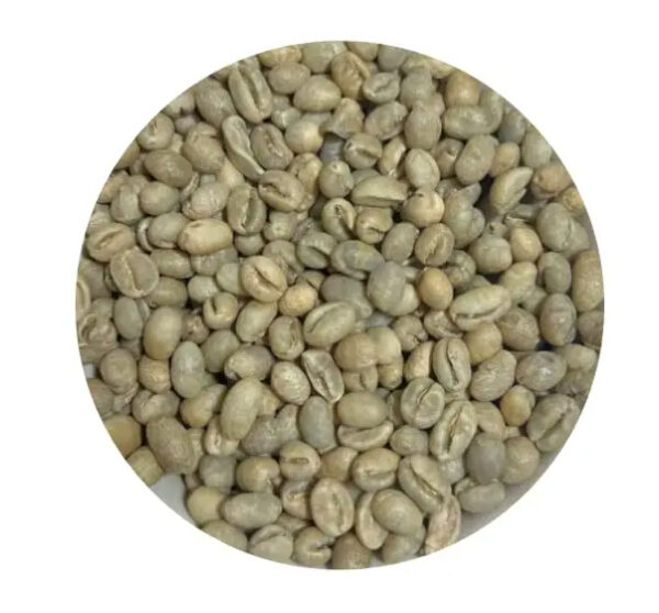 Coffee Beans Top Quality Dried Organic Arabica/Robusta Non-GMO at Wholesale Price - Image 2