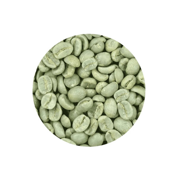Coffee Beans Specialty Green Coffee Beans 30Kg Superior Arabica Coffee Beans Washed Process Green for Sale - Image 2
