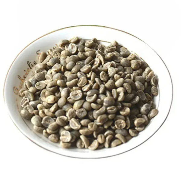 For Sale Yunnan Arabica Green Coffee Beans - Image 3
