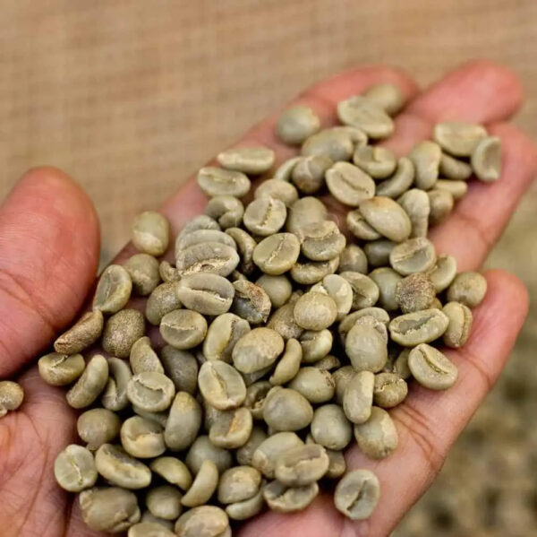 Top Quality Germany Coffee 500 KG Big Bag High Quality Coffee Beans Roasted Coffee for sell - Image 4