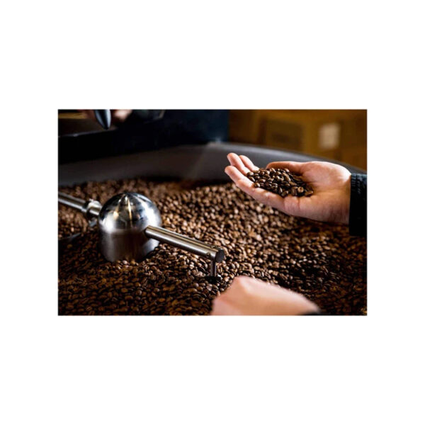 Top Quality Arabic Coffee Bean Best Ready Raw Arabic Coffee Beans - Image 3