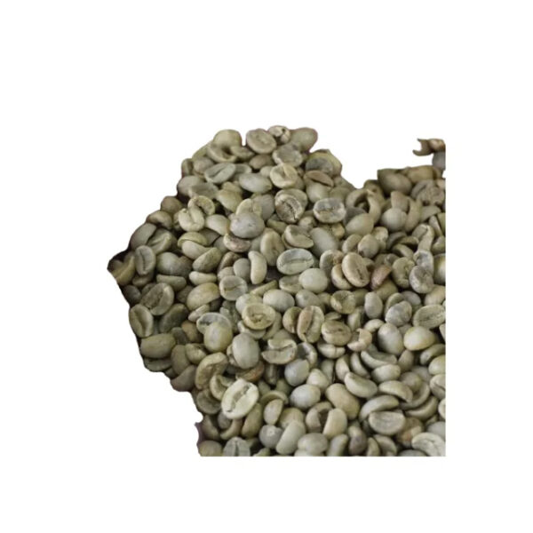 Best Seller Customized Packaging Robusta Coffee Beans Delicious Vietnamese Green Raw Coffee Directly Vietnam Manufacturer Best - Image 3