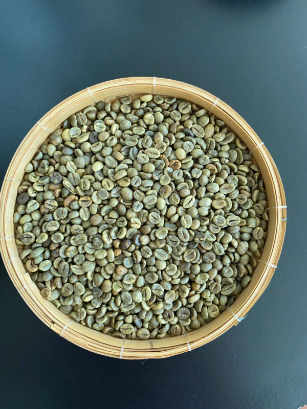 Discount Vietnam Robusta Unwashed/Clean/Wet Polished Screen SC16 / SC18 High quality Coffee - Image 3