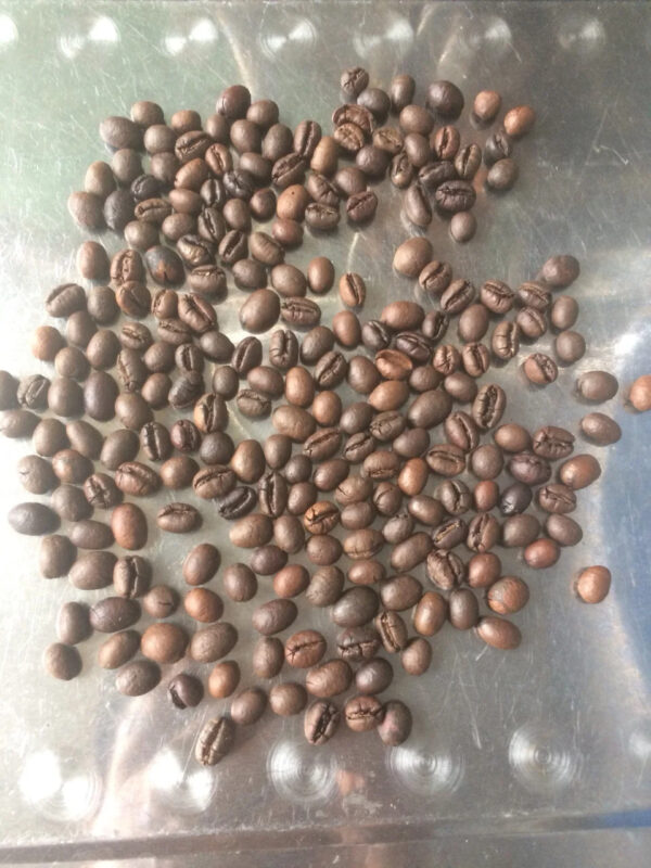 Wholesale Price Robusta Coffee Bean Organic Fresh Raw Roasted High quality Arabica Traditional Coffee - Image 3