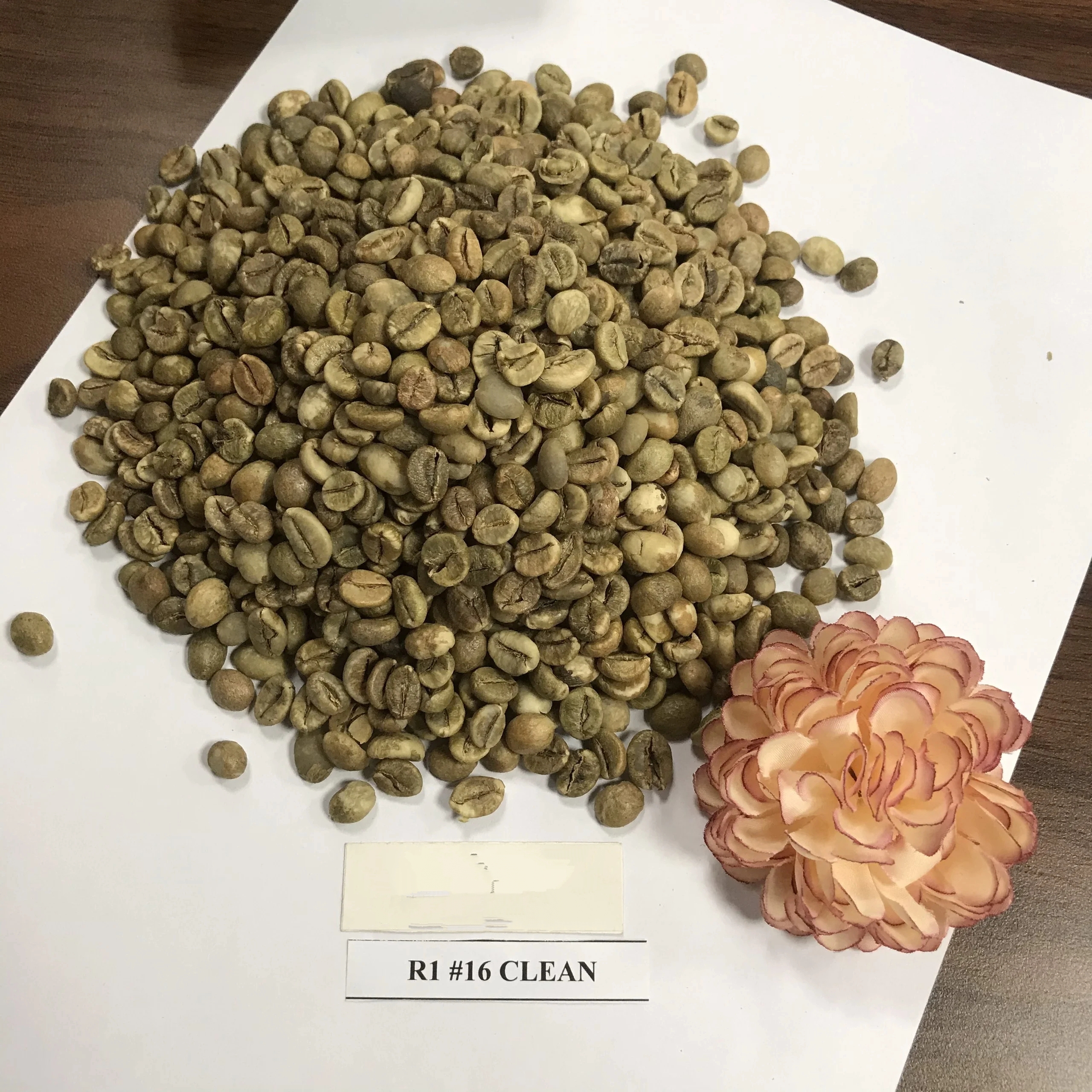 Arabica A1/A2/A3 R1/R2/ Screen 18/16/13 Robusta Coffee Green Coffee Beans Arabica and Robusta Vietnam Coffee Export - Image 3