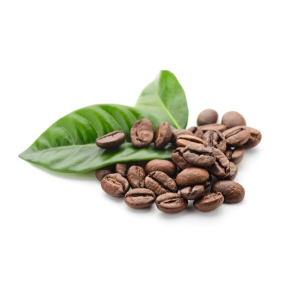 ROBUSTA COFFEE/ARABICA COFFEE BEANS/GREEN COFFEE BEAN FOR SALE - Image 3