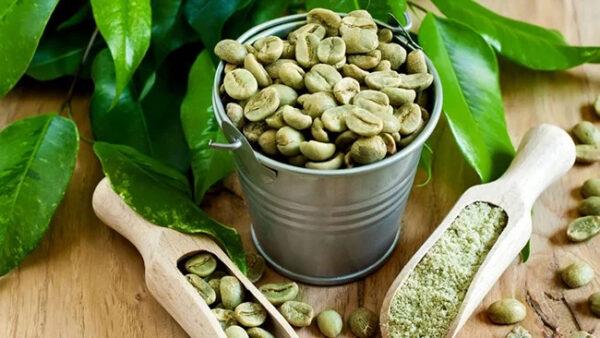 Competitive Price Green coffee bean for diet - Image 3