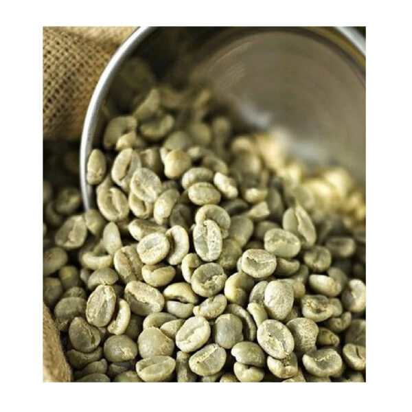 New crop 2025 Vietnam green coffee beans Arabica and Robusta coffee bean best price for sale ready to export - Image 3