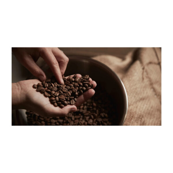 Wholesale Premium High Quality Raw Coffee Beans Directly from The Farm Grade 100% Arabic Green Coffee Beans - Image 3