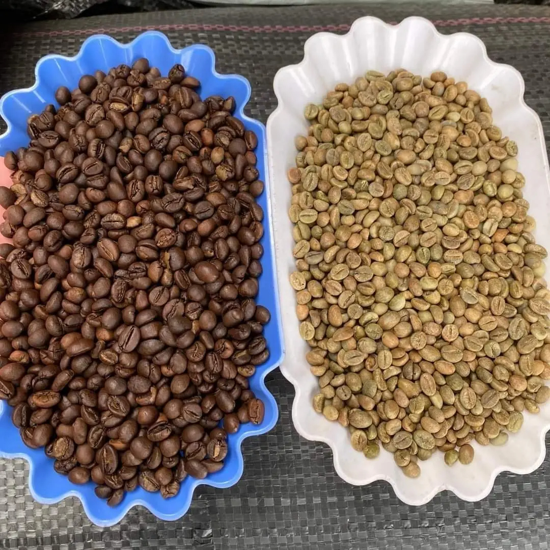 Reasonably Priced Roasted Arabica Coffee Beans Ground Coffee Supplier with OEM Service Vietnam Manufacturer - Image 2