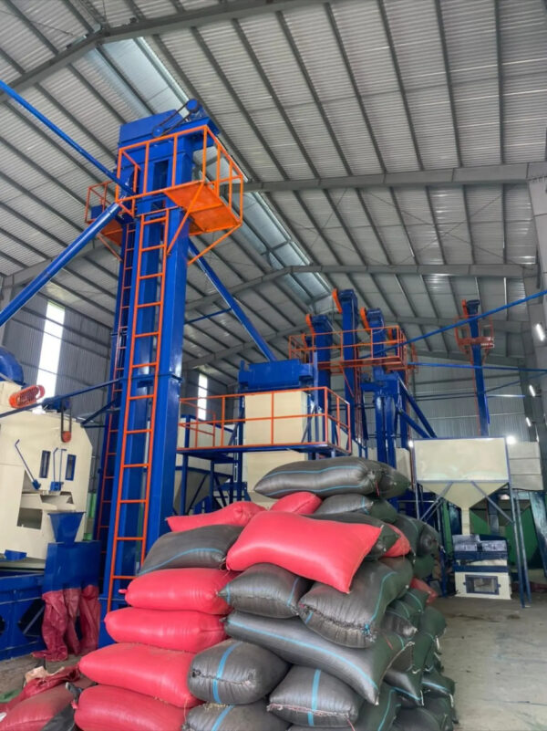Roasted Arabica Fast Delivery Green Beans Coffee Quality Robusta Coffee Customized Packaging Green Coffee Vietnam Manufacturer - Image 3