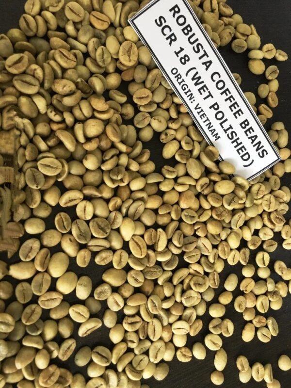 Sell Arabica Coffee Bean - Image 2