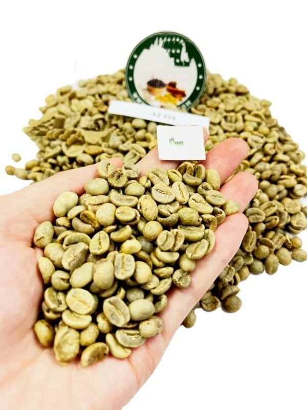 ROBUSTA Vietnam Coffee / ARABICA Coffee Beans / 100% Natural Green Coffee Beans With High Quality And Best Price - Image 3