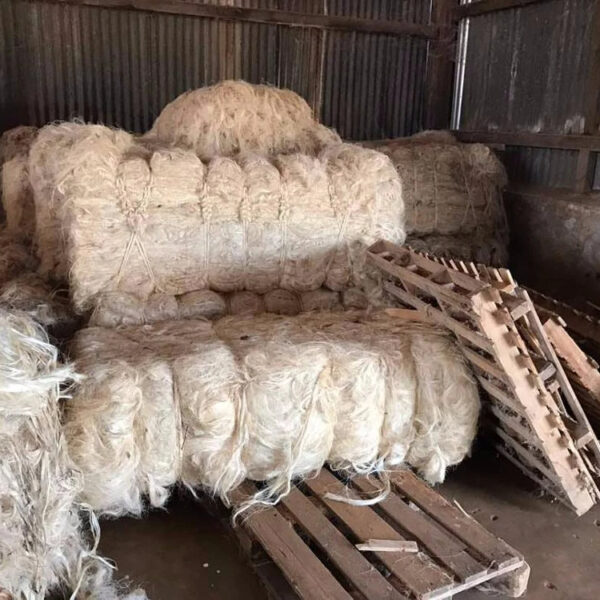 High Quality SSUG Natural sisal fiber / UG sisal fibre - Image 3