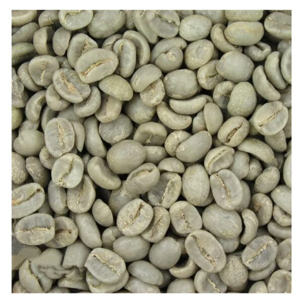 Vietnam Robusta And Arabica Green Coffee Beans High Quality Robusta Coffee good price by Vietnam - Image 2