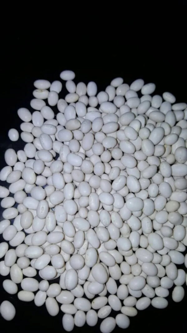 Premium Quality and Hot Seller Ethiopia White Pea Bean for Wholesale - Image 3