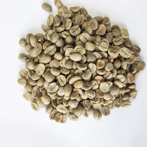 Hot sale arabica coffee bean price with wholesale arabica green coffee beans - Image 3