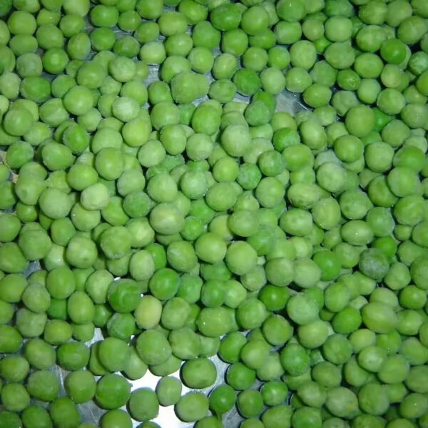 The Best-selling High-quality And Nutritious Frozen Green Peas Wholesale - Image 3