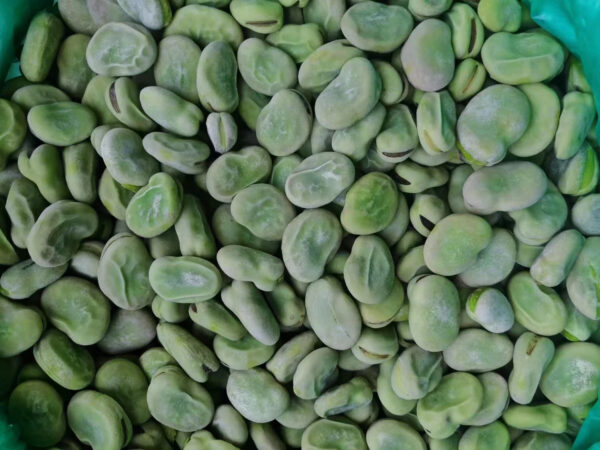 Healthy Frozen Soybean Vegetables Sell Well in China with High-quality Fava Beans - Image 2