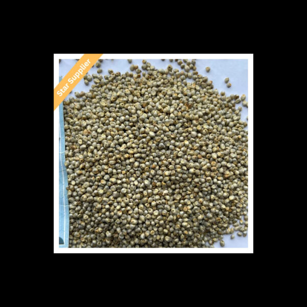 100% Natural Premium Grade Organic Yellow Millet Barley and Peas Cultivated in Thailand for Human Food - Image 3